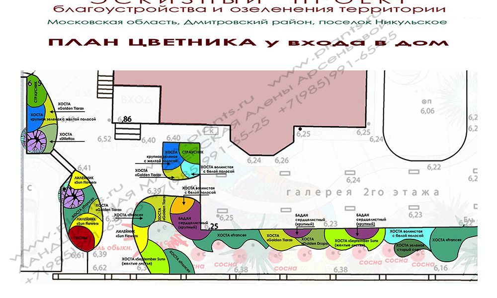 Проект дачного участка -   ПЛАН цветника у входа в дом